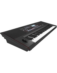 Roland E-X50 61 Key Arranger Keyboard