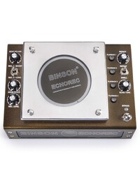 T-Rex Binson Echorec Magnetic Disk Delay Replica