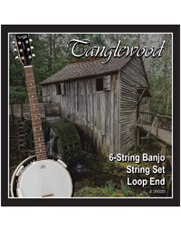 Tanglewood TWBS6 6-String Banjo / Banjitar / Guitanjo Strings