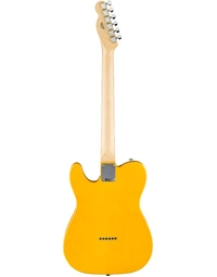 Fender MII Standard Telecaster MN Black Pickguard Butterscotch Blonde