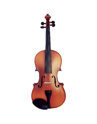 Vivo Neo 1/4 Student Violin Outfit, Including Professional Setup