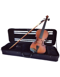 Vivo Neo Plus Student 1/4 Violin Outfit, Including Professional Setup