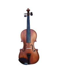 Vivo Elite 3/4 Violin Outfit, Including Professional Setup