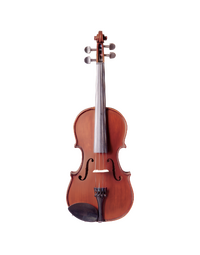 Vivo Neo Plus 3/4 Student Violin Outfit, Including Professional Setup