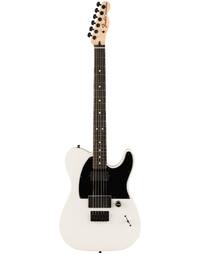 Fender Jim Root Signature Telecaster White