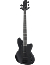 Ibanez TMB425B BKF Talman PJ 5-String Electric Bass Black Flat